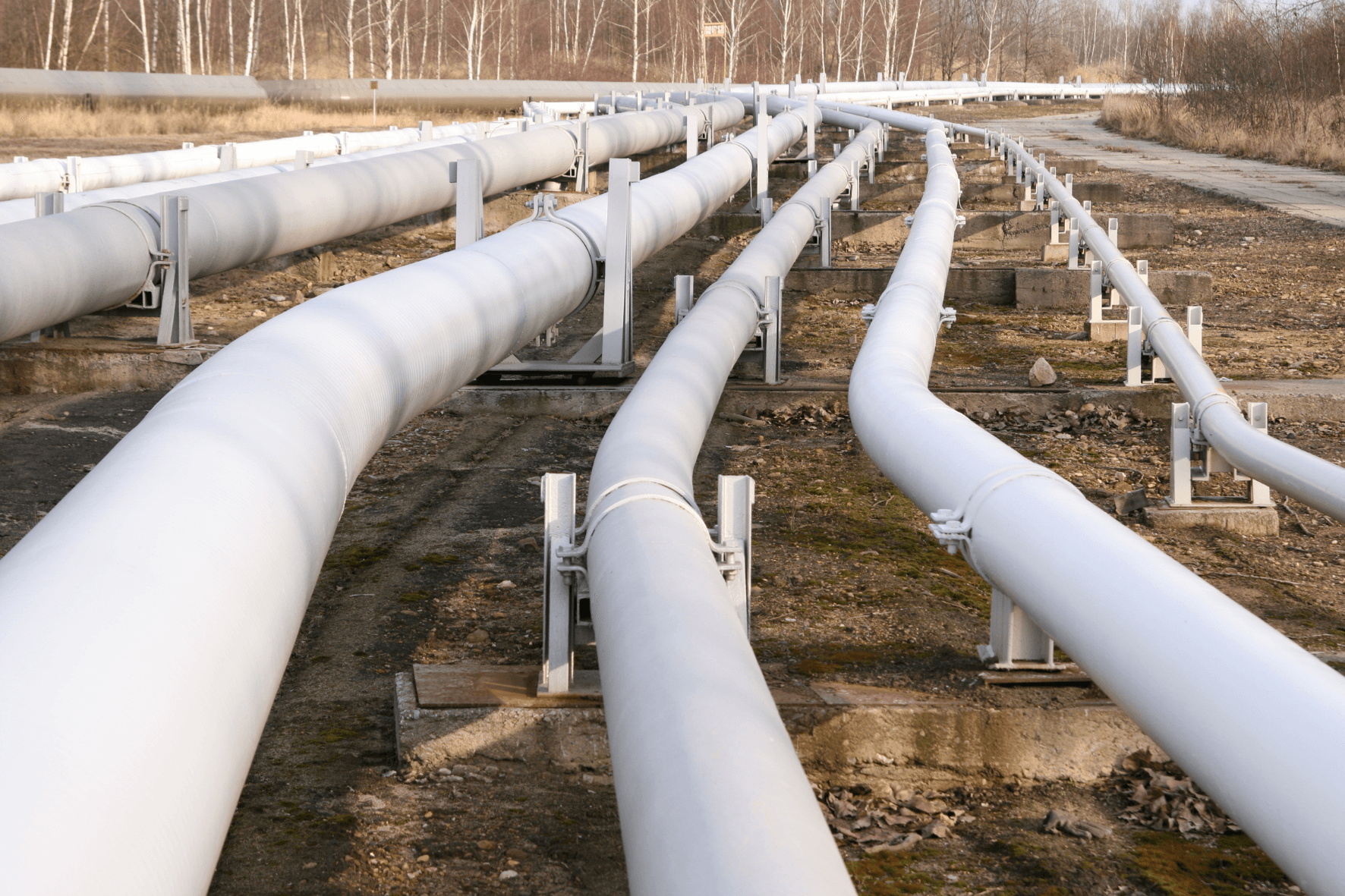 pipelines5.png